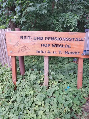 Gestüt Kriseby