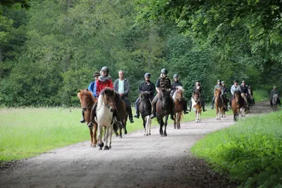 Islandpferdehof Bornbach, Weideland auf der Düpe
