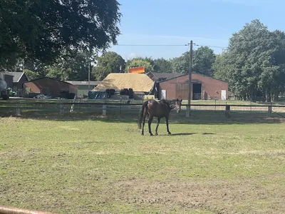 Reitstall Kiekenbeck