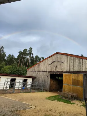 Pferdepension Forrest-Ground-Ranch