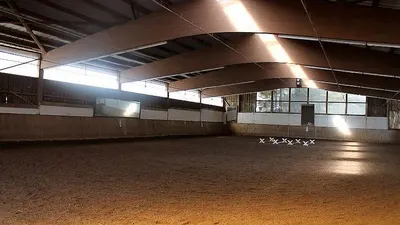 Showdown Ranch