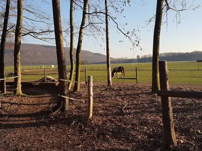 Gut Margarethenhof