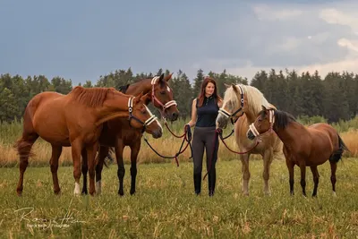 Reiten Erleben Mering
