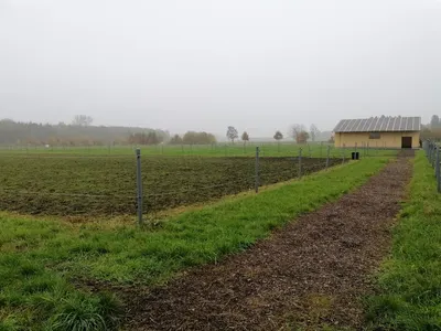Unterauerhof