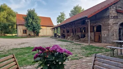Auenhof - Pferdepension, Gästezimmer & Wanderreitstation