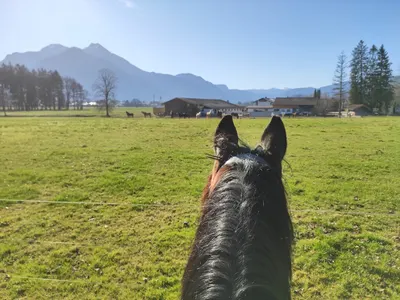 Reitanlage Gut Hindling