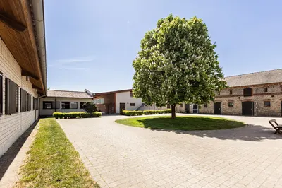 Die Pferderei