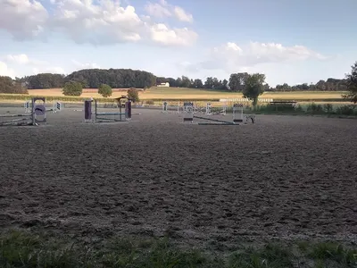 Pferdefreunde Brückenhof