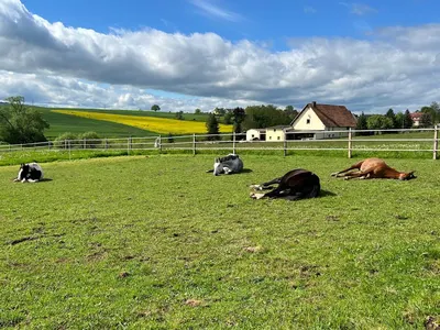 Der Bredenhof