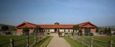 Gestuet Hoeny-Hof
