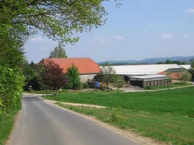 Pferdepension Bringmann