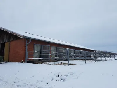 Pferdehof Rotenhagen