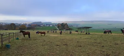 Reitzentrum Hohenstein