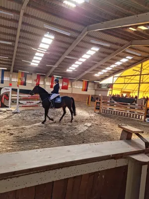 Reitclub Wollersleben e.V.