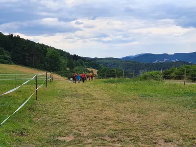 JP-Trainingstable/ Reitanlage Nägelspitz Kirn