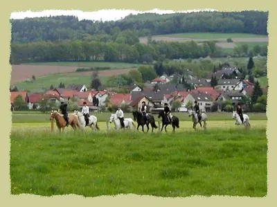 Hazelvalleyhorses