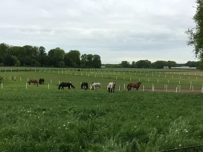 Reitstall Stukenborg