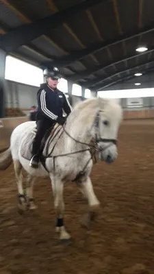 Reitanlage Hof am Eselsbach