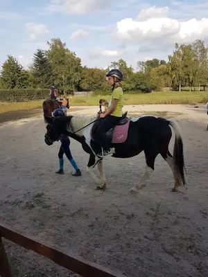 Reitstall Bertier