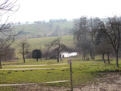 Pferdeparadies Leberle, Familie Leberle