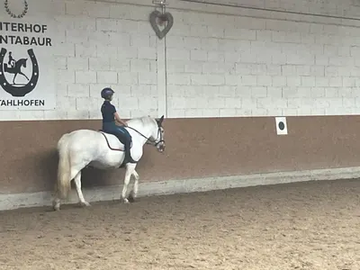 Reitanlage-Welschneudorf