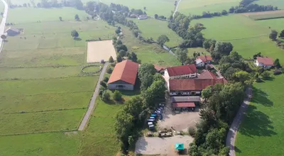 Gestüt Alte Mühle