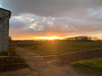 Vogel Ranch