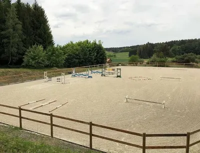 Gestüt Vogt - Christine VOGT - Wörleinshof