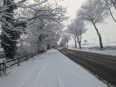 Pferdehof Göttsche-Götze
