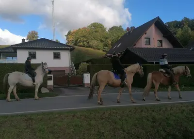 Offenstall für Pferde Antje Brieger