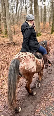 Fischerhof Wanderreiten UG