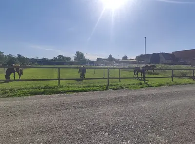 Reitstall Eck